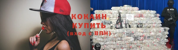 сатива Саяногорск