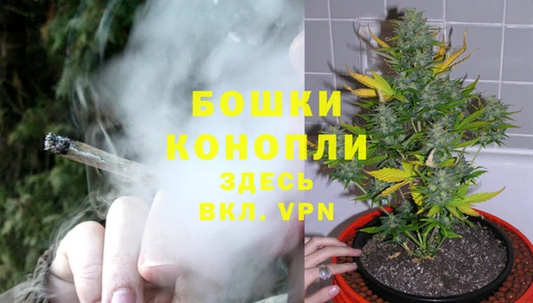 индика Алексин