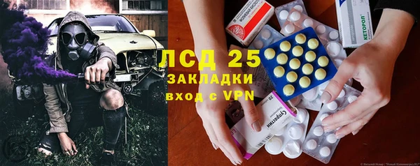 индика Алексин