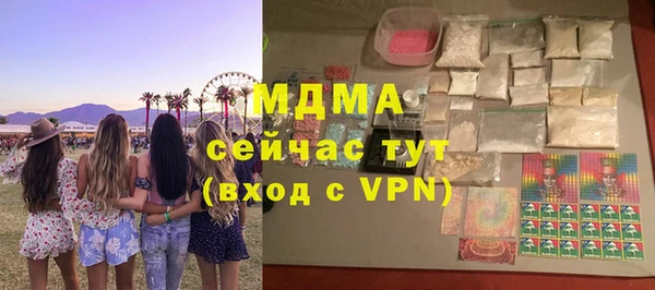 индика Алексин