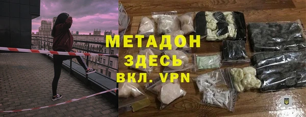 индика Алексин
