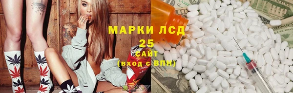 индика Алексин