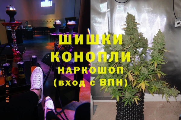 индика Алексин